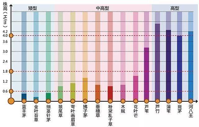 河南景观设计行业设计植物需要注重的问题有哪些？